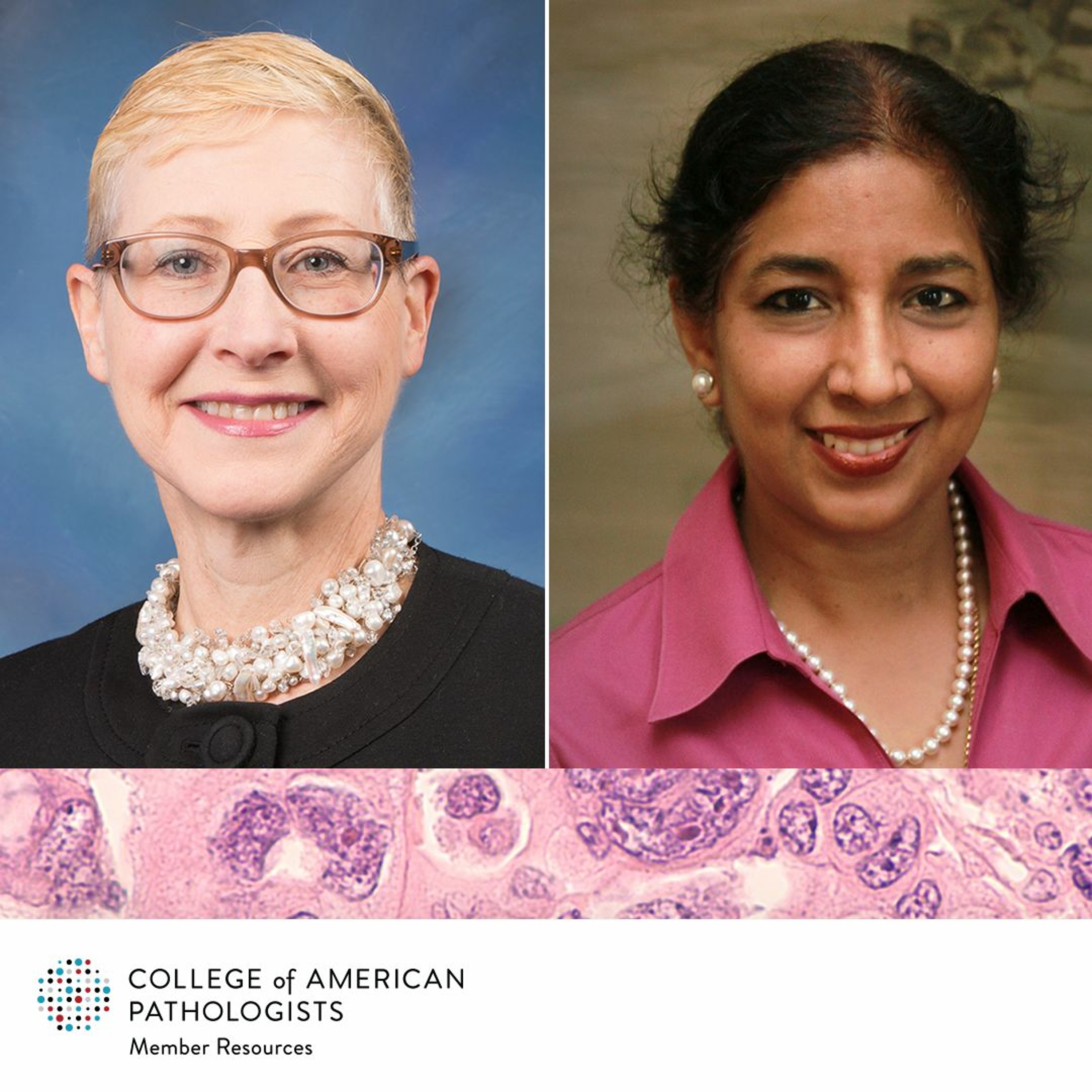 How Ovarian Cancer Protocols Benefit Pathologists & Patients episode artwork