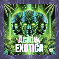 ACID & EXOTICA