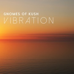 Gnomes of Kush - Vibration