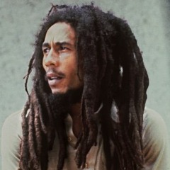 Bob Marley - Bad Card (Animal's Rub-A-Dub Mix)