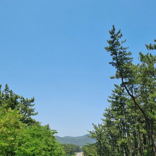 여행 (demo)