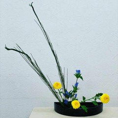 M.N.E.VOL 10    The birth