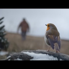 John Lewis Christmas Advert 2024 - Send Me a Sign