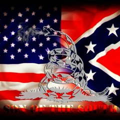 Son Of The South (Song of the South REMIX)- Lady Jane