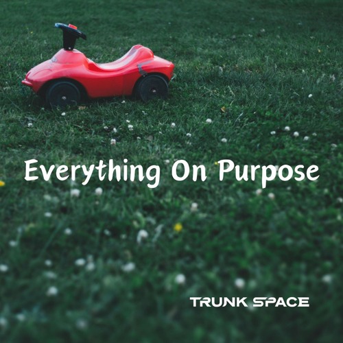 Everything On Purpose