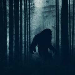 Searching For Bigfoot