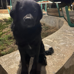 ТРУШЕЧНЫЙ (ft.ValentineKxl)