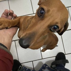 Radiant w/ sqoozyy, boryan322 (blickyhomeboy + dumboshawty)