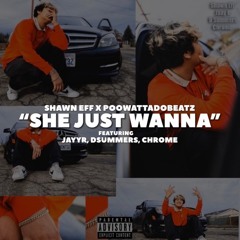Shawn Eff x PooWattadobeatz “She Just Wanna” (Ft. JayyR, Dsummers, Chrome)[ValleyCureExclusive]