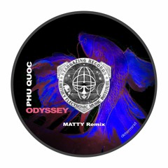 PREMIERE: Determind - Phu Quoc Odyssey (MATTY Remix) [Stargazing Records]
