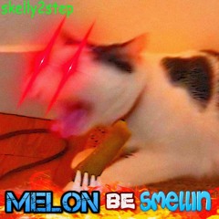 MELON BE SMELLIN - feat. DYL (prod. Fantom)