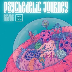 DJ Set @ Psychedelic Journey (Psygressive)