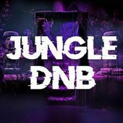 DJ Bootse Live!-Jungle/DNB