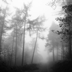Darkness (instrumental)