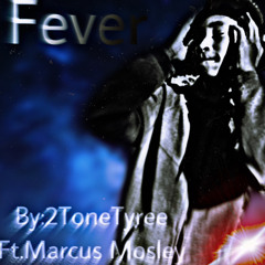Fever.m4a