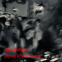Zeynep's Pulse Voyage 𝄫