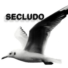 SECLUDO
