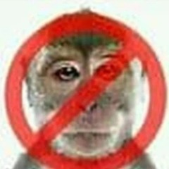 tolga can saygili edepsiz seleksiyon