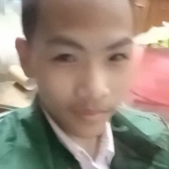 vtnsnn 3 (Hồng Nhân mix)