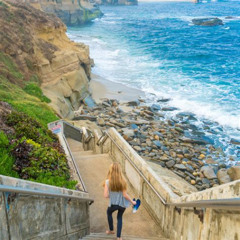Best Things To Do In La Jolla San Diego Tours Reviews
