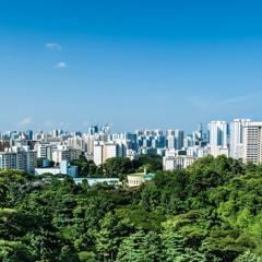 Rethinking Wealth: The Case for Moving Beyond GDP
