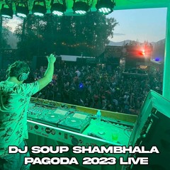 DJ SOUP Mixy SPECIAL - SHAMBHALA 2023 LIVE