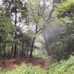 甲賀忍法帖  【全パートカバー】