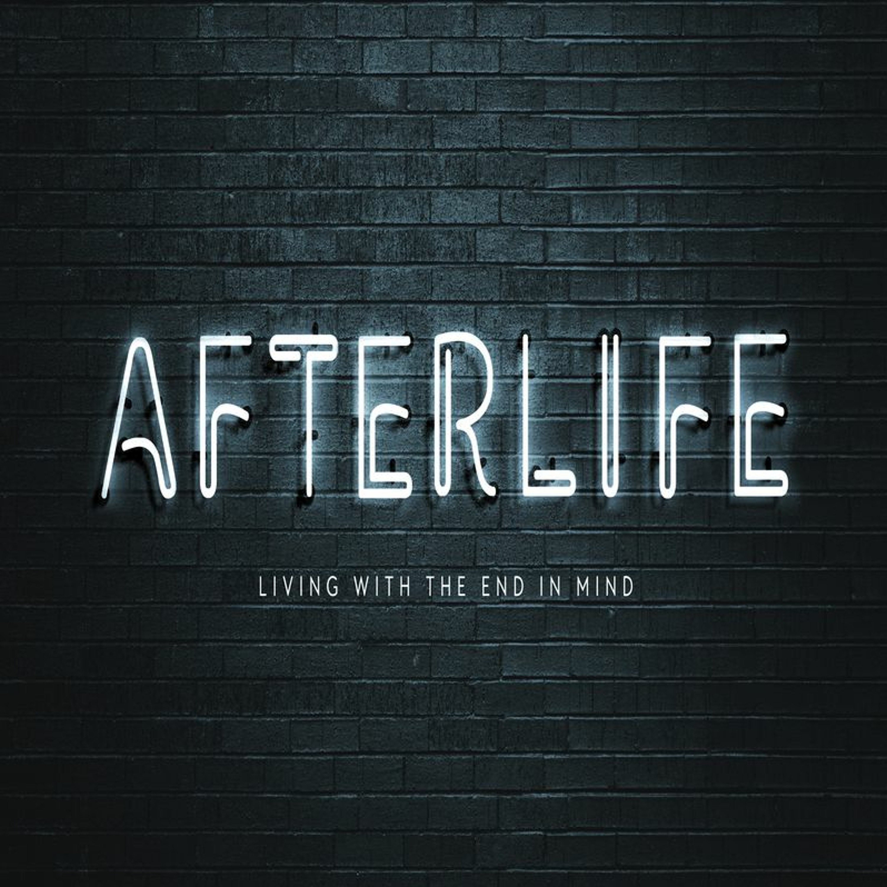 Afterlife Part 6 episode artwork