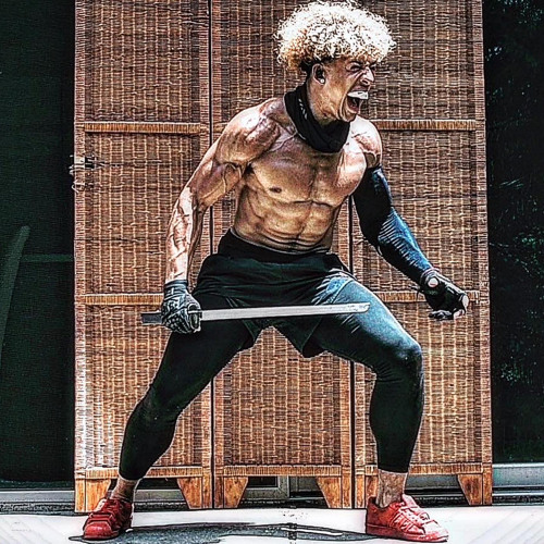 LETHAL ASSASSIN'S COMBAT👑🥷🏽⚡️⚔️👁️
