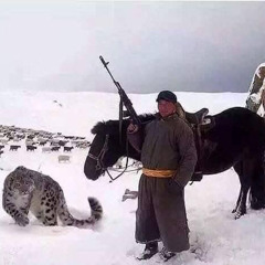 vibin 146 - prod. cam b