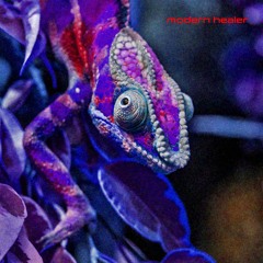 anti identity theft (go ballistic mix)