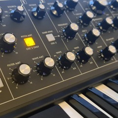 EssigLeier FirstTake2