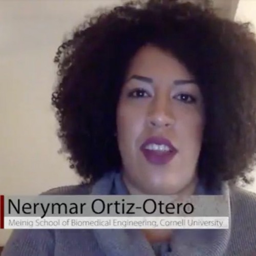 Stream Episode Role Of Cancer Associated Fibroblasts In Prostate Cancer