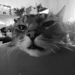 Nani ? - DJ Kugellager