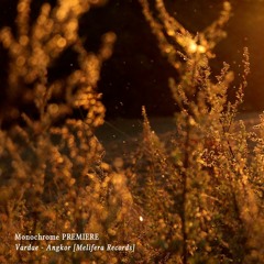 𝐏𝐑𝐄𝐌𝐈𝐄𝐑𝐄 : Vardae - Angkor [Melifera Records]