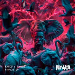RANCU & PA NGU - Stranger Things (Extended Mix) [La Mishka]