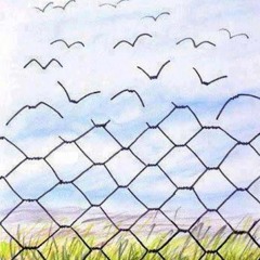 free