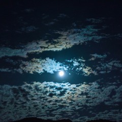 Moonlight Sinatra
