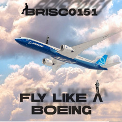 Fly Like A Boeing - Brisc0151