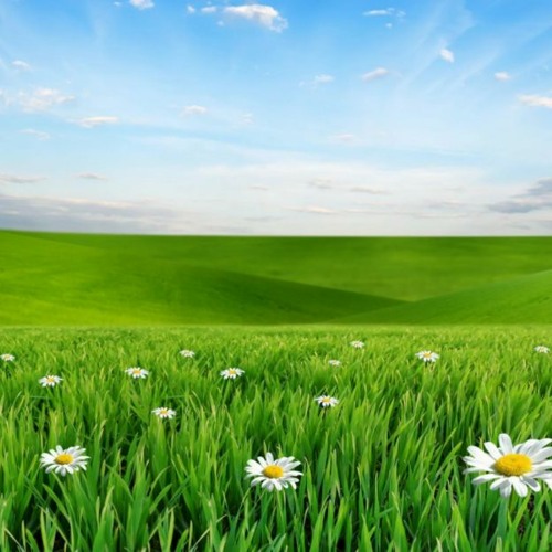 アレフ、アレフ VALORANT background music - FREE DOWNLOAD