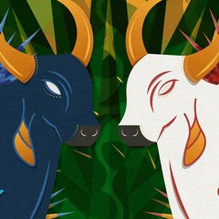 Podcast Boi - Bumbá - Minicurso