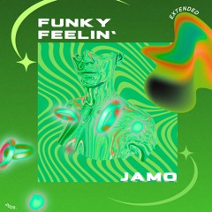 Funky Feelin'