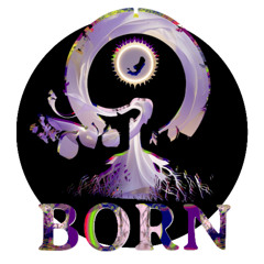 Born  - (Divine Intention #55) | Juannean Young