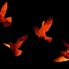 Free