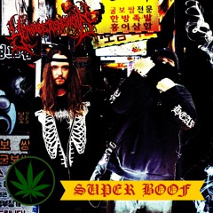 SUPER BOOF W/ EDDISON