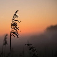It's Already Dawn