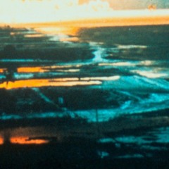 plasma vibrations