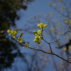C'est normal si ça colle aux dents