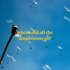 Where Did All The Dandelions Go? (Drake Passionfruit sad lo-fi/chillhop remix)