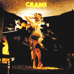 Slayyyter - CRANK (No Art Remix) FREE DL